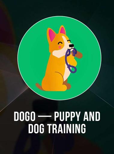 Dogo - Hundetraining App